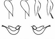 trasferibilir41 Animaletti, NERO. Trasferelli-Trasferibili R41 in fogli 9x25cm. p. 226 R41GRG1366N.