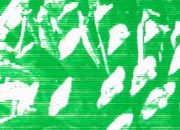 trasferibilir41 Pigne, VERDE. Trasferelli-Trasferibili R41 in fogli 9x25cm  R41GRG5289V