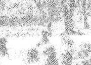 trasferibilir41 Alberi, NERO. Trasferelli-Trasferibili R41 in fogli 9x25cm .