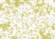 trasferibilir41 Rocce, ORO. Trasferelli-Trasferibili R41 in fogli 9x25cm  R41GRG5295O