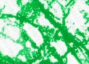 trasferibilir41 Marmo, VERDE. Trasferelli-Trasferibili R41 in fogli 9x25cm .
