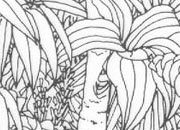 trasferibilir41 Fondi, NERO. Trasferelli-Trasferibili R41 in fogli 9x25cm. p. 231 .