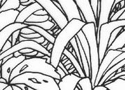 trasferibilir41 Fondi, NERO. Trasferelli-Trasferibili R41 in fogli 9x25cm. p. 231 .