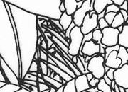 trasferibilir41 Fondi, NERO. Trasferelli-Trasferibili R41 in fogli 9x25cm. p. 231 .