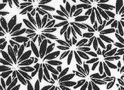 trasferibilir41 Fondi, NERO. Trasferelli-Trasferibili R41 in fogli 9x25cm. p. 231 .