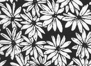 trasferibilir41 Fondi, NERO. Trasferelli-Trasferibili R41 in fogli 9x25cm. p. 231 .