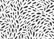 trasferibilir41 Fondi, NERO. Trasferelli-Trasferibili R41 in fogli 9x25cm. p. 230 .