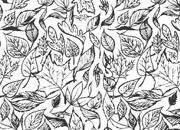 trasferibilir41 Fondi foglie, NERO. Trasferelli-Trasferibili R41 in fogli 9x25cm .