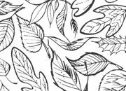 trasferibilir41 Fondi foglie, NERO. Trasferelli-Trasferibili R41 in fogli 9x25cm .