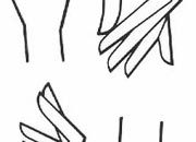 trasferibilir41 Mani, Indici, NERO. Trasferelli-Trasferibili R41 in fogli 9x25cm. p. 223 .