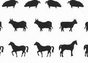 trasferibilir41 Animali, NERO. Trasferelli-Trasferibili R41 in fogli 9x25cm. p. 227 .