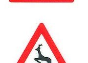 trasferibilir41 Segnaletica stradale, COLORI. Trasferelli-Trasferibili R41 in fogli 11,5x12,5cm R41GRI1082C.