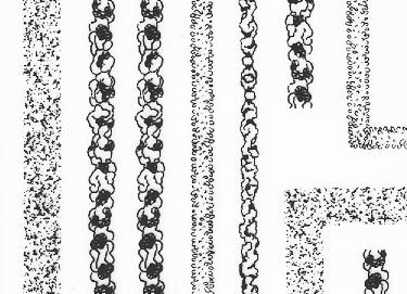 trasferibilir41 Siepi-Cigi, NERO. Trasferelli-Trasferibili R41 in fogli 9x25cm .