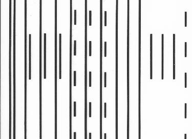 trasferibilir41 Mezzerie della strada, NERO. Trasferelli-Trasferibili R41 in fogli 9x25cm .