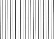trasferibilir41 Trame Linee 4 lin. 20%, NERO. Trasferelli-Trasferibili R41 in fogli 9x25cm .