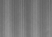 trasferibilir41 Trame Autoadesive, , NERO. In fogli 25x35cm T3 Adexplan, pellicola di acetato trasparente spessore 38 microns autoadesiva. Su T3 si scrive, si trasferisce, si colorA R41T33341N