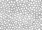 trasferibilir41 Trame Autoadesive, Pavimenti esterni, NERO. In fogli 25x35cm T3 Adexplan, pellicola di acetato trasparente spessore 38 microns autoadesiva. Su T3 si scrive, si trasferisce, si colorA R41T33711N