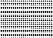 trasferibilir41 Trame Autoadesive, Tetti, NERO. In fogli 25x35cm T3 Adexplan, pellicola di acetato trasparente spessore 38 microns autoadesiva. Su T3 si scrive, si trasferisce, si colorA.