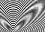 trasferibilir41 Trame Autoadesive,  30%, NERO. In fogli 25x35cm T3 Adexplan, pellicola di acetato trasparente spessore 38 microns autoadesiva. Su T3 si scrive, si trasferisce, si colorA R41T33842N