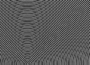 trasferibilir41 Trame Autoadesive,  70%, NERO. In fogli 25x35cm T3 Adexplan, pellicola di acetato trasparente spessore 38 microns autoadesiva. Su T3 si scrive, si trasferisce, si colorA R41T33843N