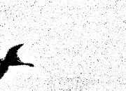 trasferibilir41 Trame Autoadesive, Nuvole, NERO. In fogli 25x35cm T3 Adexplan, pellicola di acetato trasparente spessore 38 microns autoadesiva. Su T3 si scrive, si trasferisce, si colorA R41T33853N