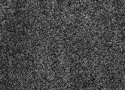 trasferibilir41 Trame Autoadesive,  50%, NERO. In fogli 25x35cm T3 Adexplan, pellicola di acetato trasparente spessore 38 microns autoadesiva. Su T3 si scrive, si trasferisce, si colorA R41T33879N