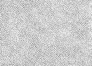 trasferibilir41 Trame Autoadesive,  50%, NERO. In fogli 25x35cm T3 Adexplan, pellicola di acetato trasparente spessore 38 microns autoadesiva. Su T3 si scrive, si trasferisce, si colorA R41T33895N