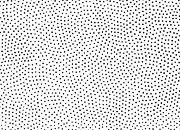 trasferibilir41 Trame Autoadesive,  75%, NERO. In fogli 25x35cm T3 Adexplan, pellicola di acetato trasparente spessore 38 microns autoadesiva. Su T3 si scrive, si trasferisce, si colorA R41T33896N