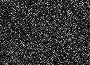 trasferibilir41 Trame Autoadesive,  75%, NERO. In fogli 25x35cm T3 Adexplan, pellicola di acetato trasparente spessore 38 microns autoadesiva. Su T3 si scrive, si trasferisce, si colorA R41T33898N