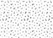 trasferibilir41 Trame Autoadesive, , NERO. In fogli 25x35cm T3 Adexplan, pellicola di acetato trasparente spessore 38 microns autoadesiva. Su T3 si scrive, si trasferisce, si colorA R41T33915N