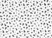 trasferibilir41 Trame Autoadesive, , NERO. In fogli 25x35cm T3 Adexplan, pellicola di acetato trasparente spessore 38 microns autoadesiva. Su T3 si scrive, si trasferisce, si colorA R41T33917N