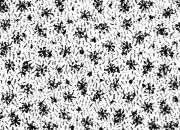 trasferibilir41 Trame Autoadesive, , NERO. In fogli 25x35cm T3 Adexplan, pellicola di acetato trasparente spessore 38 microns autoadesiva. Su T3 si scrive, si trasferisce, si colorA R41T33918N