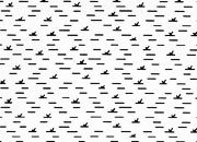 trasferibilir41 Trame Autoadesive, , NERO. In fogli 25x35cm T3 Adexplan, pellicola di acetato trasparente spessore 38 microns autoadesiva. Su T3 si scrive, si trasferisce, si colorA R41T33965N