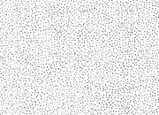 trasferibilir41 Trame Autoadesive, , NERO. In fogli 25x35cm T3 Adexplan, pellicola di acetato trasparente spessore 38 microns autoadesiva. Su T3 si scrive, si trasferisce, si colorA.