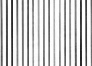 trasferibilir41 Trame Autoadesive,  linee verticali, NERO. In fogli 25x35cm T3 Adexplan, pellicola di acetato trasparente spessore 38 microns autoadesiva. Su T3 si scrive, si trasferisce, si colorA R41T34254N