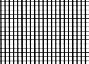 trasferibilir41 Trame Autoadesive,  quadri, NERO. In fogli 25x35cm T3 Adexplan, pellicola di acetato trasparente spessore 38 microns autoadesiva. Su T3 si scrive, si trasferisce, si colorA.