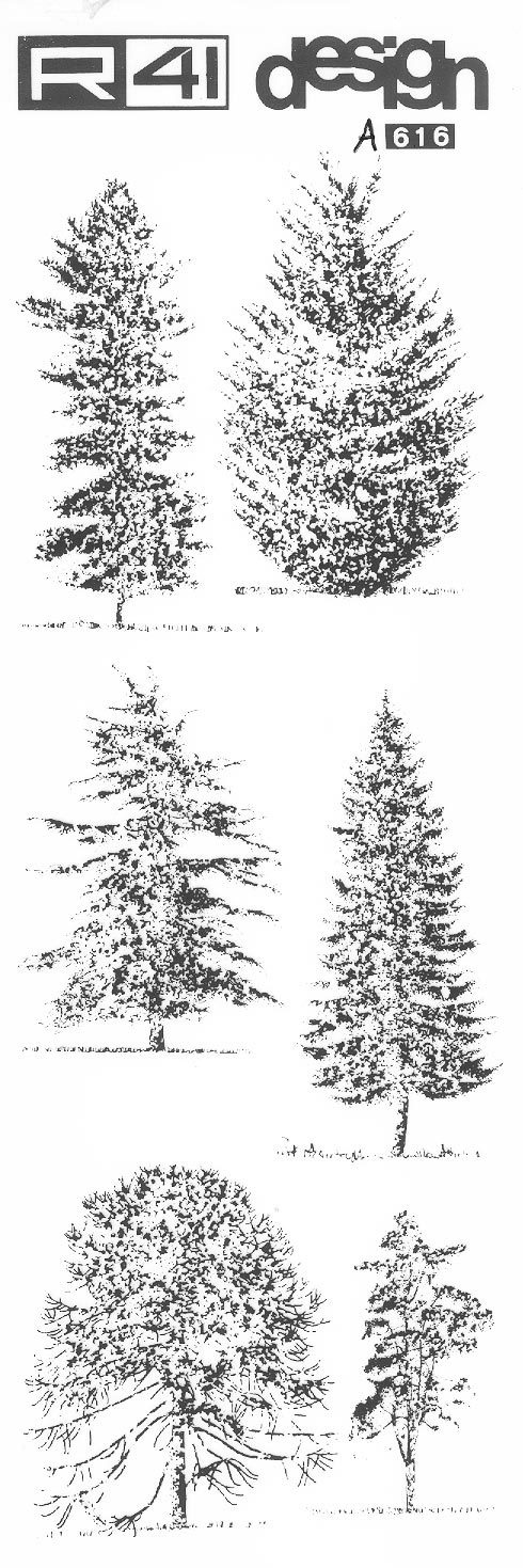 trasferibilir41 Alberi in alzato, NERO. Trasferelli-Trasferibili R41 in fogli 9x25cm .