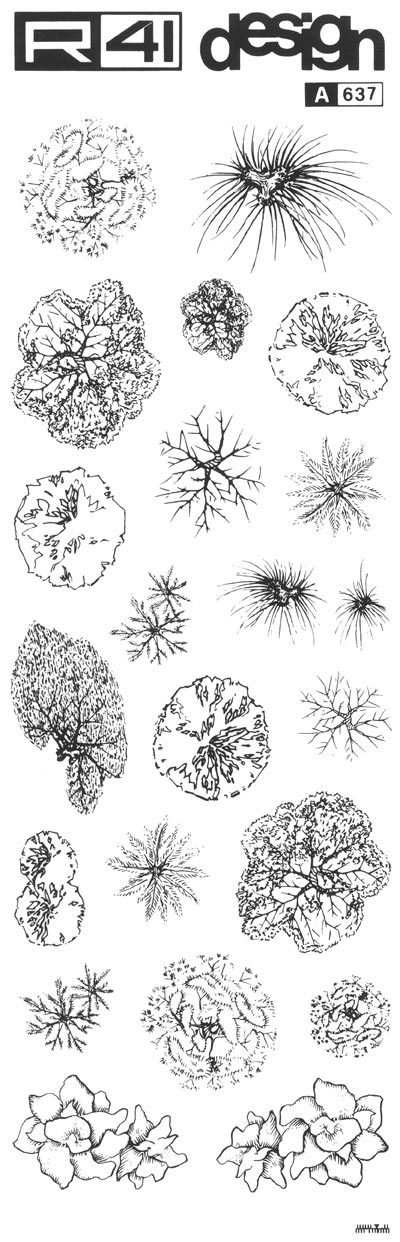 trasferibilir41 Alberi in pianta, NERO. Trasferelli-Trasferibili R41 in fogli 9x25cm. p. 338 .