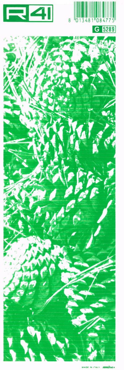 trasferibilir41 Pigne, VERDE. Trasferelli-Trasferibili R41 in fogli 9x25cm .
