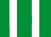 trasferibilir41 Tiralinee 10mm, VERDE. Trasferibili R41 in fogli 8,3x35cm R41GRTL100V.