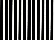 trasferibilir41 Tiralinee 1mm, BIANCO. Trasferibili R41 in fogli 8,3x35cm R41GRTL10B.