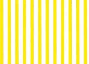 trasferibilir41 Tiralinee 1,2mm, GIALLO. Trasferibili R41 in fogli 8,3x35cm R41GRTL12G.