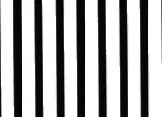 trasferibilir41 Tiralinee 3mm, BIANCO. Trasferibili R41 in fogli 8,3x35cm R41GRTL30B.