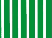 trasferibilir41 Tiralinee 4mm, VERDE. Trasferibili R41 in fogli 8,3x35cm  R41GRTL40V