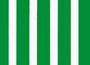 trasferibilir41 Tiralinee 5mm, VERDE. Trasferibili R41 in fogli 8,3x35cm R41GRTL50V.