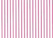 trasferibilir41 Tiralinee 0,5mm, FUCSIA. Trasferibili R41 in fogli 8,3x35cm R41GRTL5F.