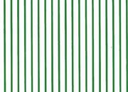 trasferibilir41 Tiralinee 0,5mm, VERDE. Trasferibili R41 in fogli 8,3x35cm .