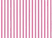 trasferibilir41 Tiralinee 0,6mm, FUCSIA. Trasferibili R41 in fogli 8,3x35cm R41GRTL6F.