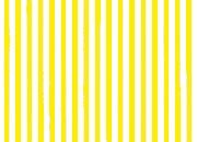 trasferibilir41 Tiralinee 0,6mm, GIALLO. Trasferibili R41 in fogli 8,3x35cm R41GRTL6G.