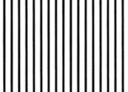 trasferibilir41 Tiralinee 0,6mm, NERO. Trasferibili R41 in fogli 8,3x35cm R41GRTL6N.